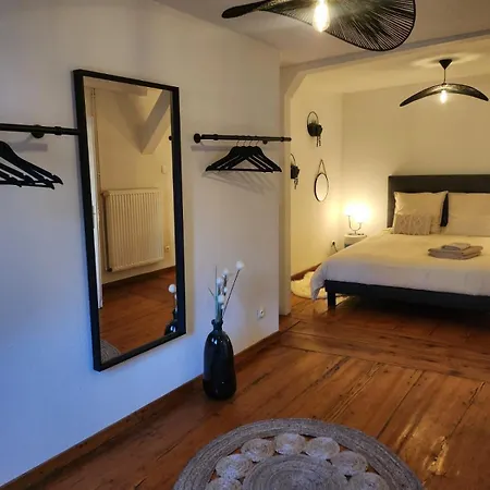 Apartment Au Coeur De Sélestat